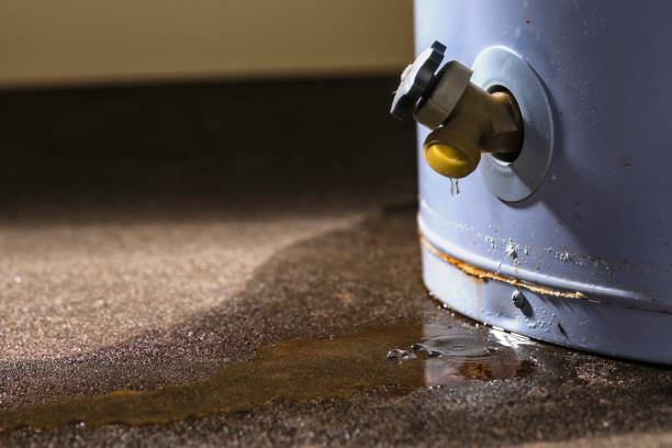 Auburn Lake Trails, CA Water damage restoration Company