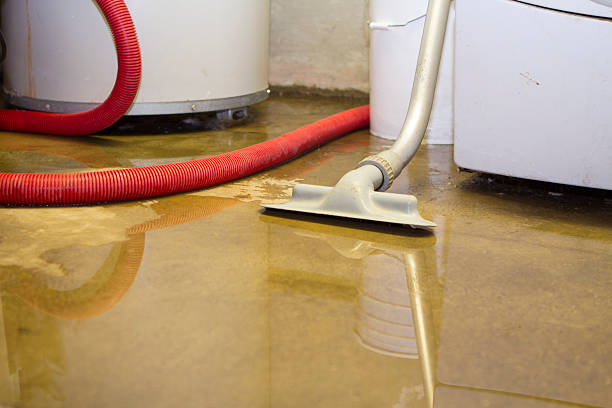Best Water damage restoration near me  in Auburn Lake Trails, CA